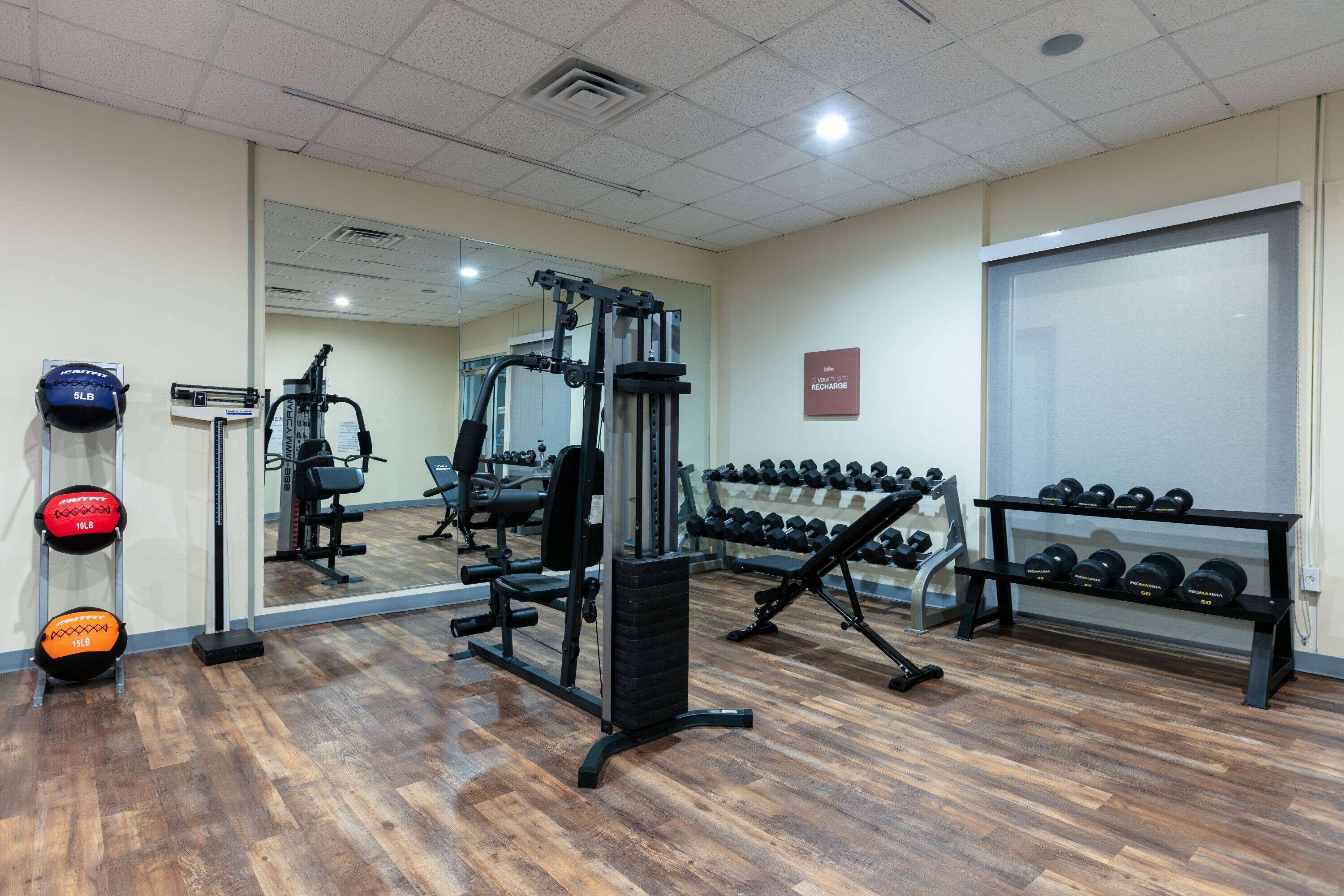 Une salle de sport équipée de matériel d’exercice, de supports pour les poids et d’un miroir.