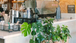 Interior de una cafetería con un menú, máquinas de café y plantas en macetas.