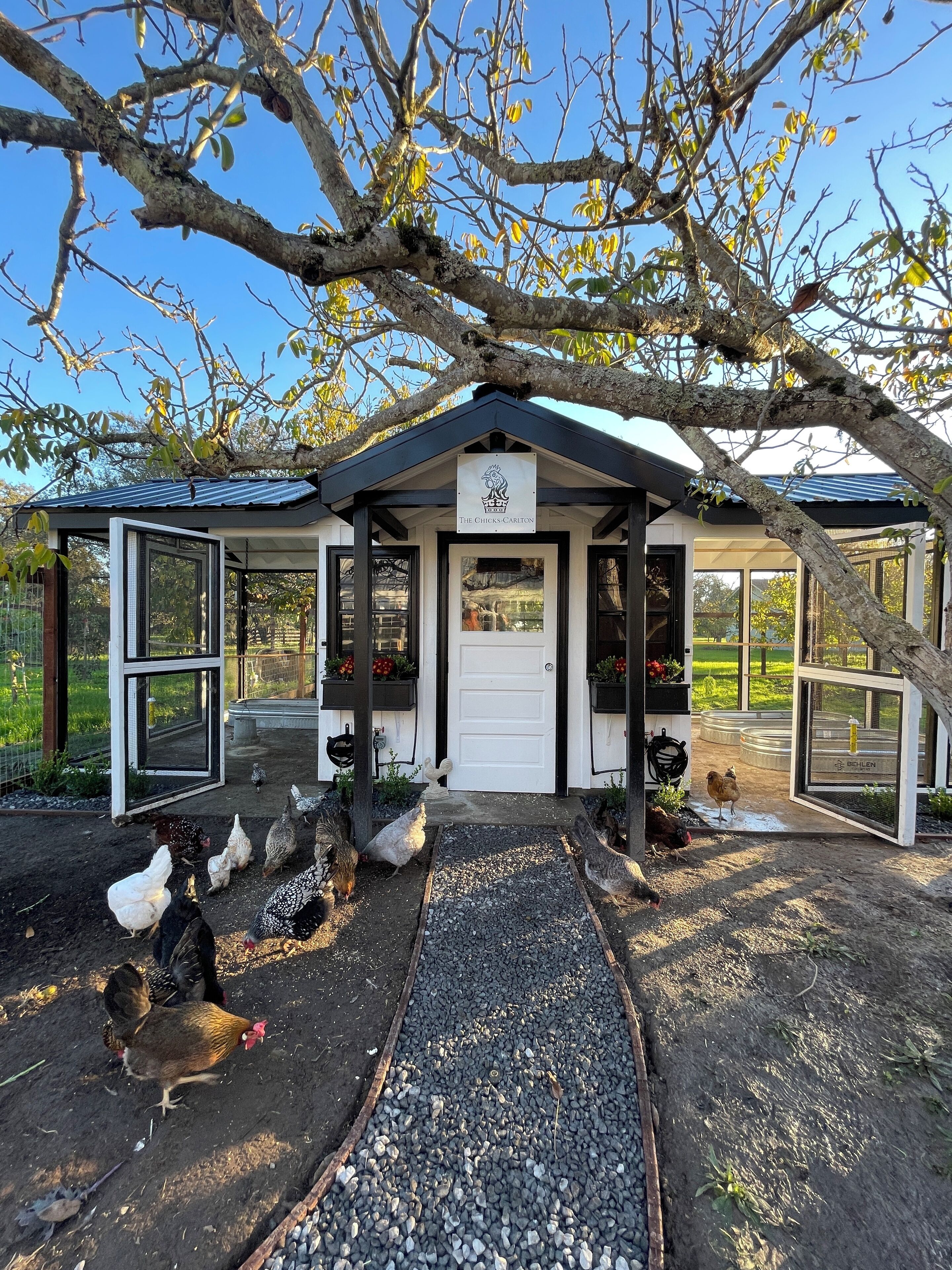 Large Chicken Coop where you'll collect fresh eggs daily.