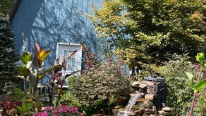 A blue building with a small waterfall and various plants in the foreground. - Cozy Buckhannon Cottage, Panoramic Views, Koi Pond & Close to Town (Buckhannon)