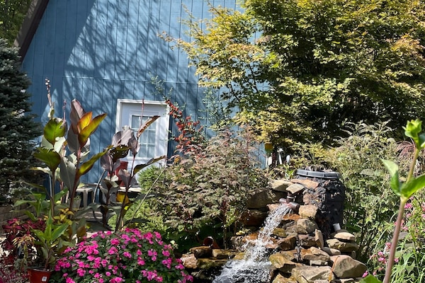 Koi pond adjacent to the cottage in its summer glory.