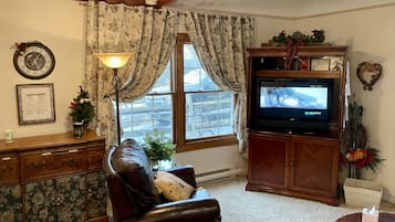 Smart TV, fireplace, books, printers