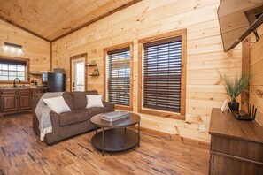 TV connectée, cheminée, lecteur de DVD