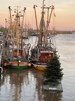 Unclassified image, 3 of 35, button