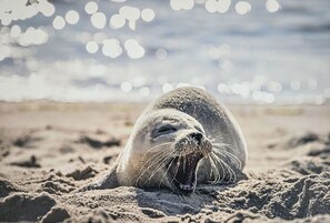 Image sans description, 5 de 29, bouton