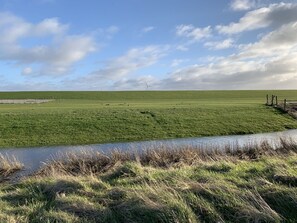 Unclassified image, 5 of 35, button