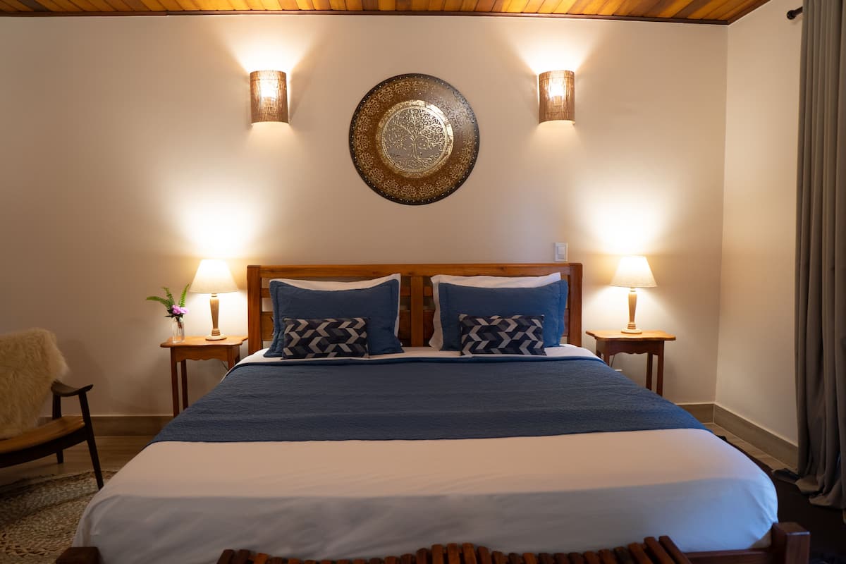 Chambre Double Romantique, 1 trÚs grand lit, cheminée, vue jardin