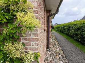 Apartment (Seestern EG-hinten) | Außenbereich