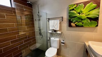 Suite Premium | Baño | Ducha y cabezal de ducha tipo lluvia