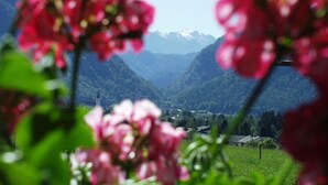A mountainous landscape with a valley and a small settlement. - Vacation apartment Kräuterbeet for 2 persons, 25 sqm, kitchenette, double bed (Inzell)