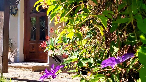 A wooden door with a glass panel, a stone pathway, and a variety of green foliage and purple flowers in the foreground. - Vacation apartment Kräuterbeet for 2 persons, 25 sqm, kitchenette, double bed (Inzell)