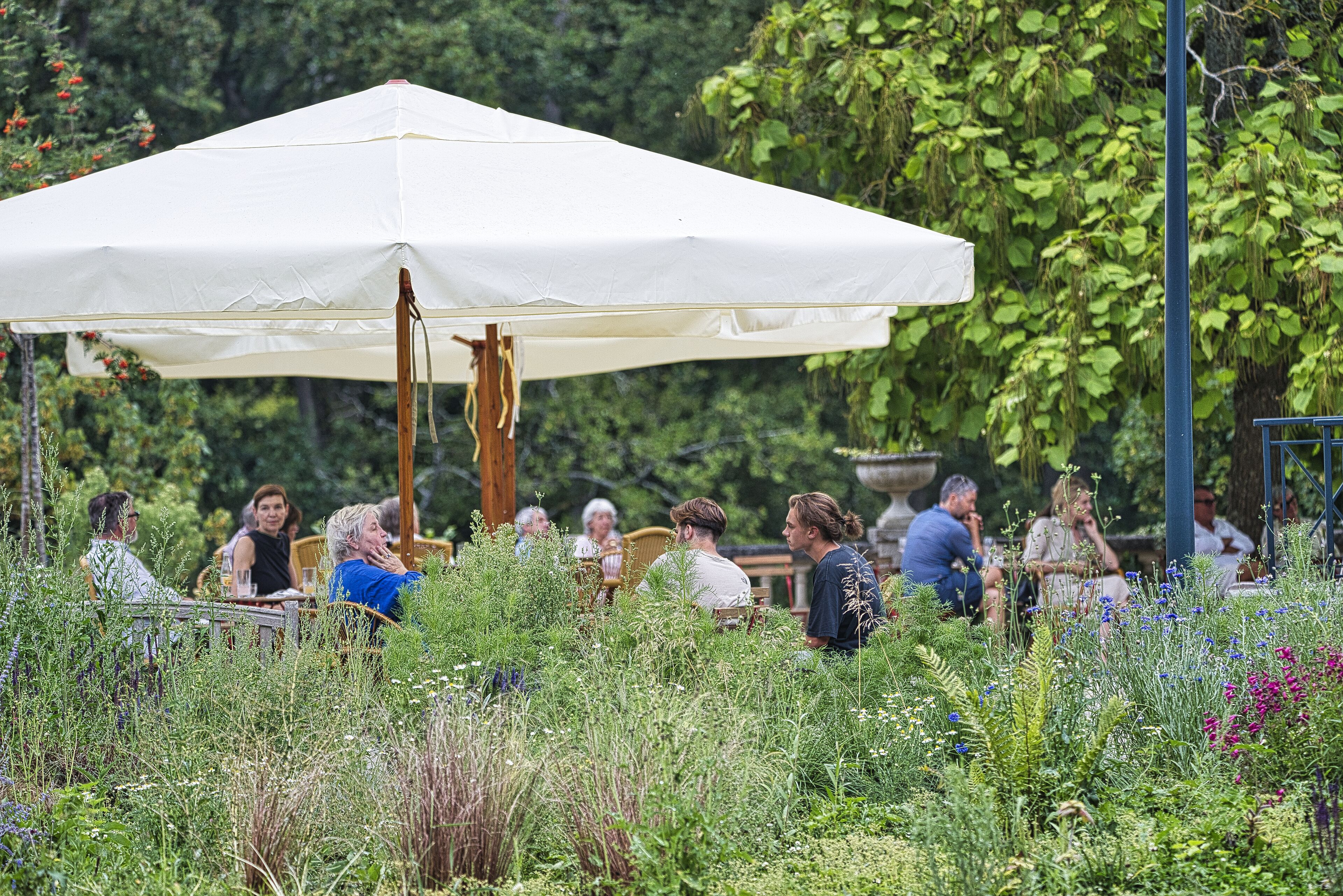 A group of people seated under a white umbrella in a garden with various plants and trees.