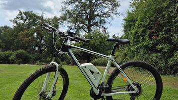 Una mountain bike ferma in un prato erboso, sullo sfondo alberi e cielo sereno.