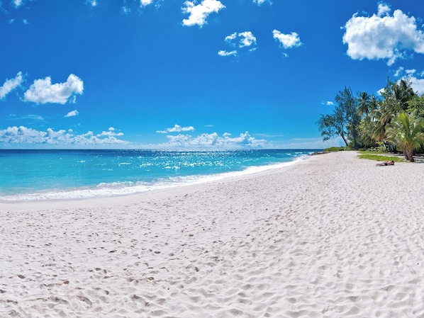 Une plage de sable blanc, avec une eau d’un bleu limpide et des palmiers.
