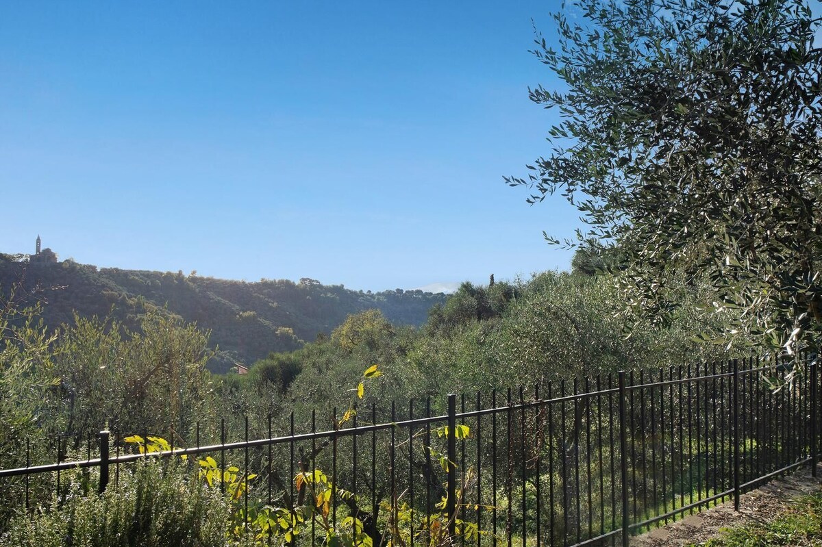 Imagen de perfil del propietario o de la propietaria