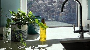 A kitchen with a window, a sink, and two potted plants. - Luxury cottage in the heart of Craigellachie (Craigellachie)