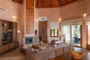 TV, fireplace