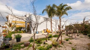 A courtyard with a white building, palm trees, and various plants.