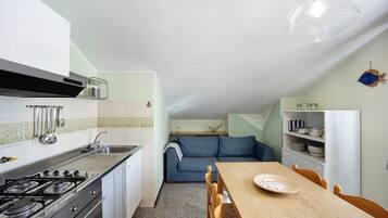 Fridge, oven, stovetop, electric kettle