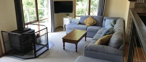 TV connectée, cheminée