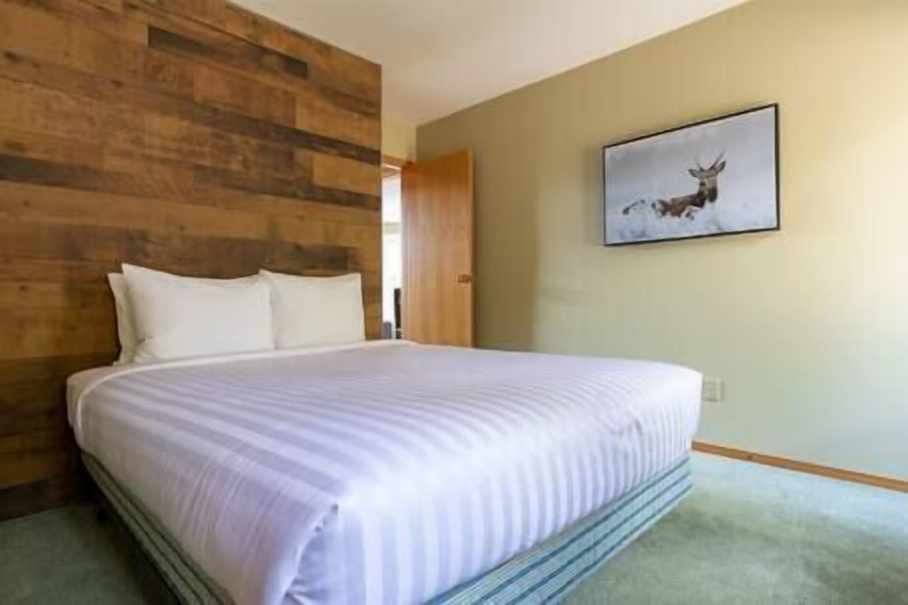 Cheerful 4 bedroom house with 2 living rooms