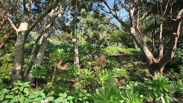 Detalle del exterior