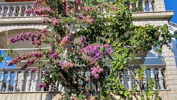 A multi-story building with balconies, a garden with flowering plants, and a clear blue sky. - Nice, quiet, and inexpensive family apartment with proximity to sandy beach (Privlaka)