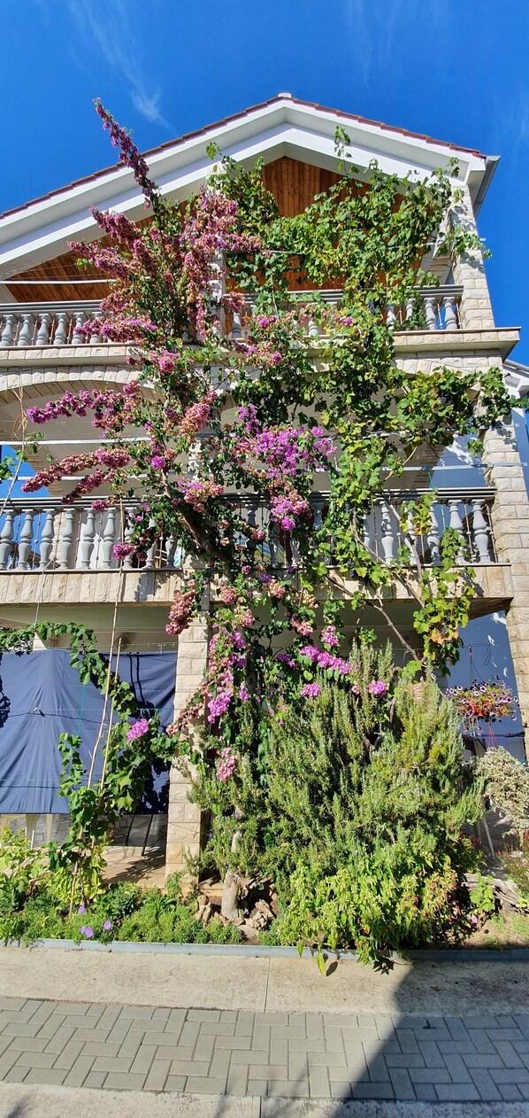 Property grounds - Nice, quiet, and inexpensive family apartment with proximity to sandy beach (Privlaka)