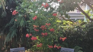 A round table with two chairs in a garden area.