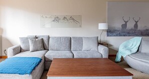 Een smart-tv, een open haard, Netflix en streamingdiensten