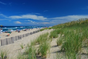 Playa en los alrededores