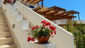 A staircase with a white wall, a wooden pergola, and a potted red flower.