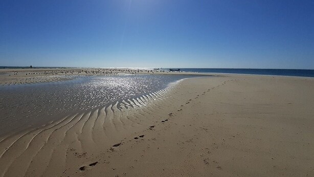 Une plage parsemée d’empreintes et de petites vagues dans le sable, un ciel dégagé et un soleil éclatant.
