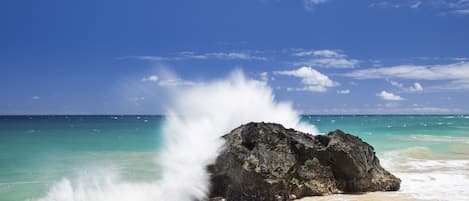 Beach nearby, beach umbrellas
