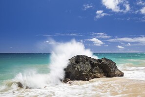 Playa en los alrededores y sombrillas 