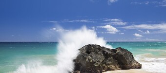 Banyan Harbor #E56, Walk to Beach, Wifi, AC, Pool, Parking, Laundry