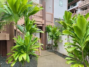 Exterior detail - Banyan Harbor #E56, Walk to Beach, Wifi, AC, Pool, Parking, Laundry (Lihue)