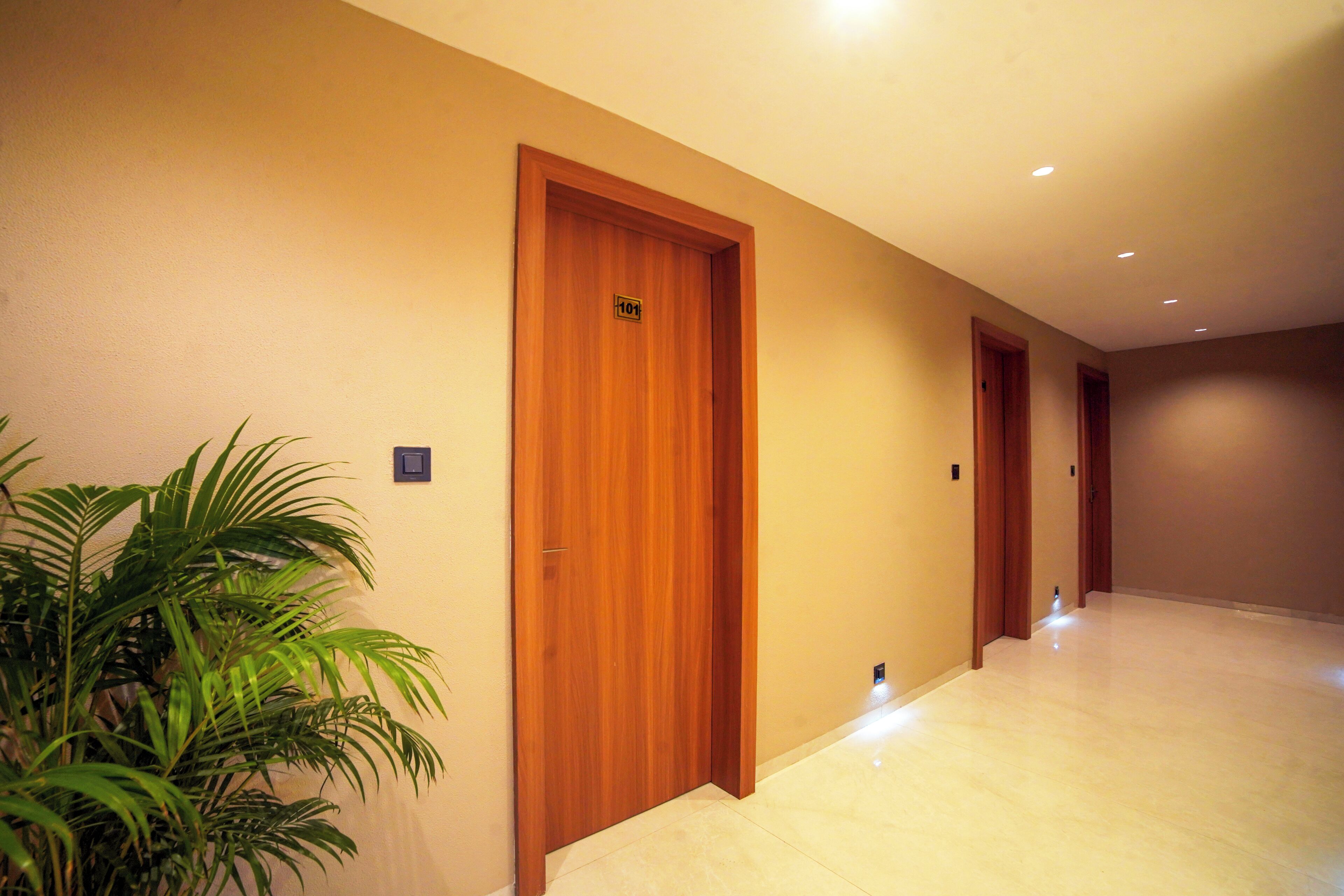A hallway with wooden doors, a potted plant, and a clean, tiled floor.
