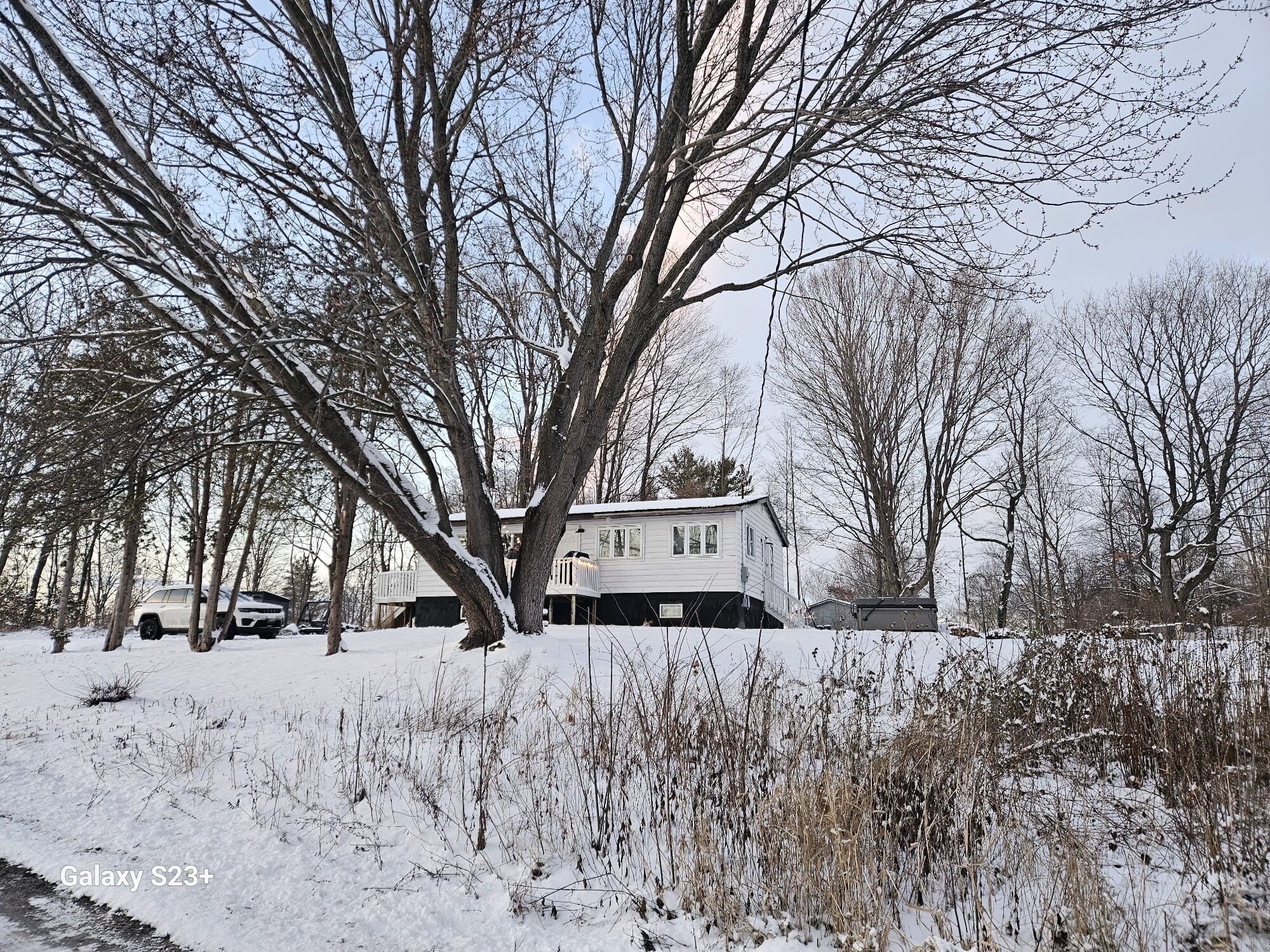 Et hus omgivet af sneklædte træer og en klar himmel.