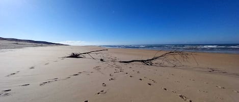 Plage à proximité