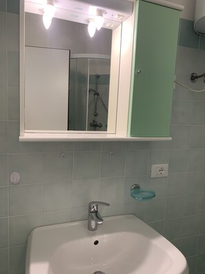 Shower, hair dryer, soap, toilet paper