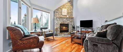 Una televisión, una chimenea, un reproductor de DVD, libros