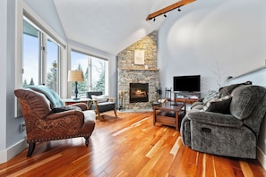 Televisie, een open haard, een dvd-speler en boeken