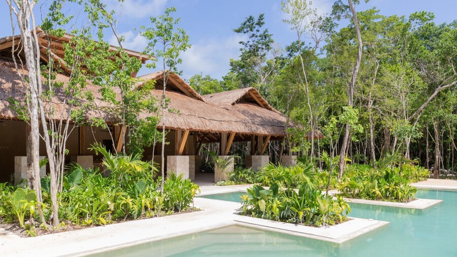 Lumina at LOSANTOS Tulum