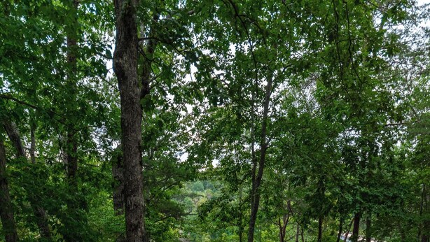 A hammock on a wooden deck overlooking a lake, surrounded by trees. - Luxurious cabin with fire pit, kayaks, and dock. (Arley)