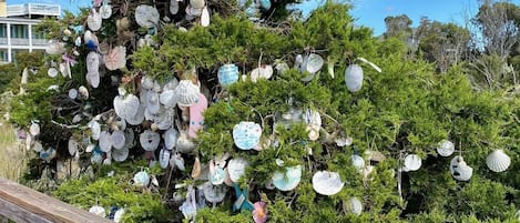 Overnattingsstedets uteområder