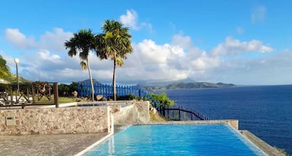 Classic Caribbean villa wt private pool and ocean view
