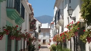 Une rue étroite bordée de bâtiments blancs, de fleurs rouges et, au loin, une montagne.