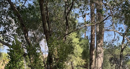 Pet Friendly<br>Private Cozy Casita on 2 acre Property