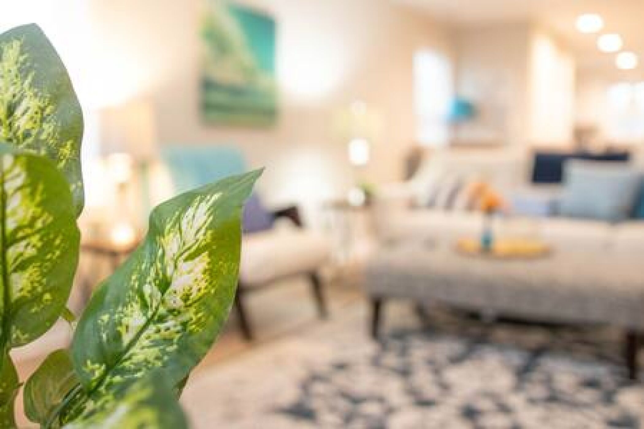 Le Taureau Ville - Modernized Bungalow 1mi from DT
